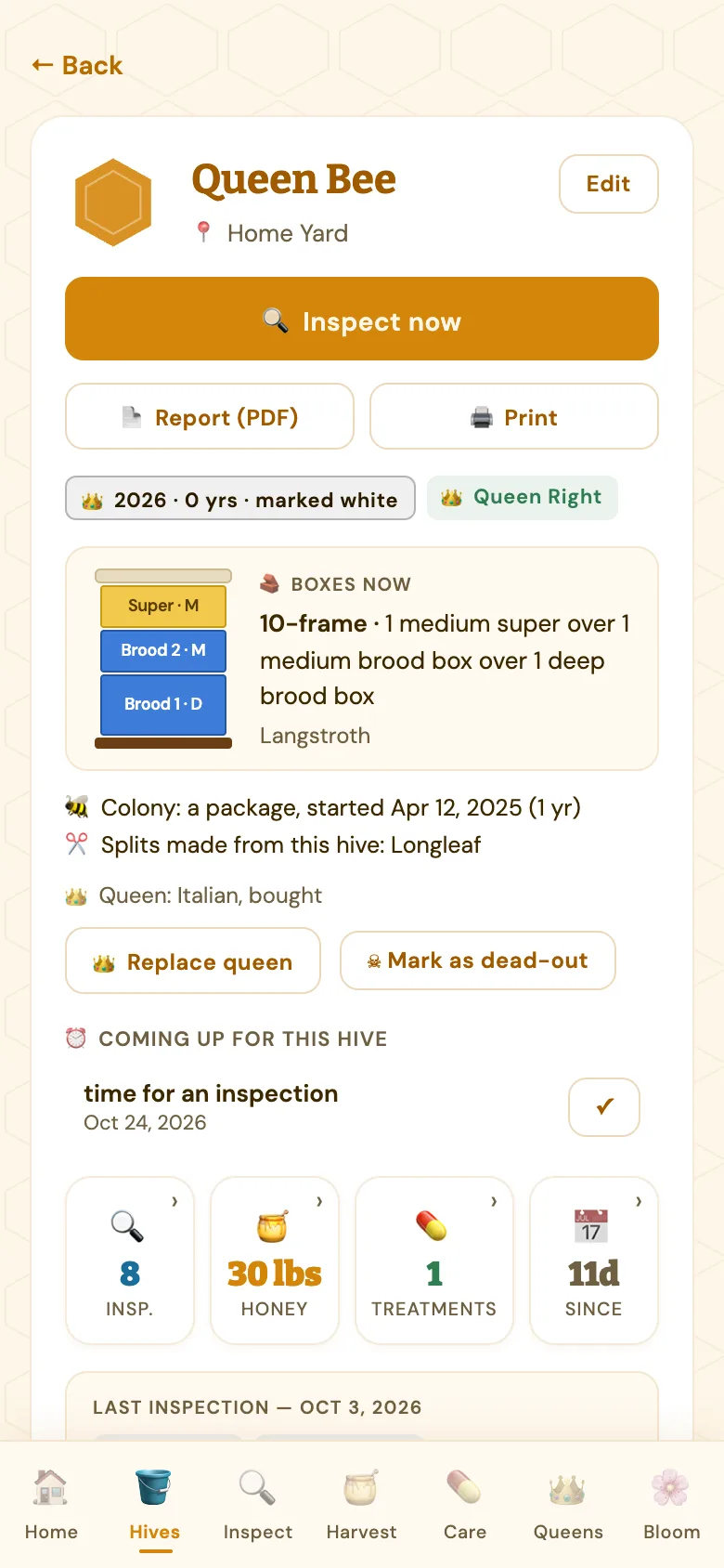 A hive's page: a queen marked white, Queen Right, a drawing of one medium super over two brood boxes, the colony's history, and buttons to replace the queen or mark it as a dead-out.